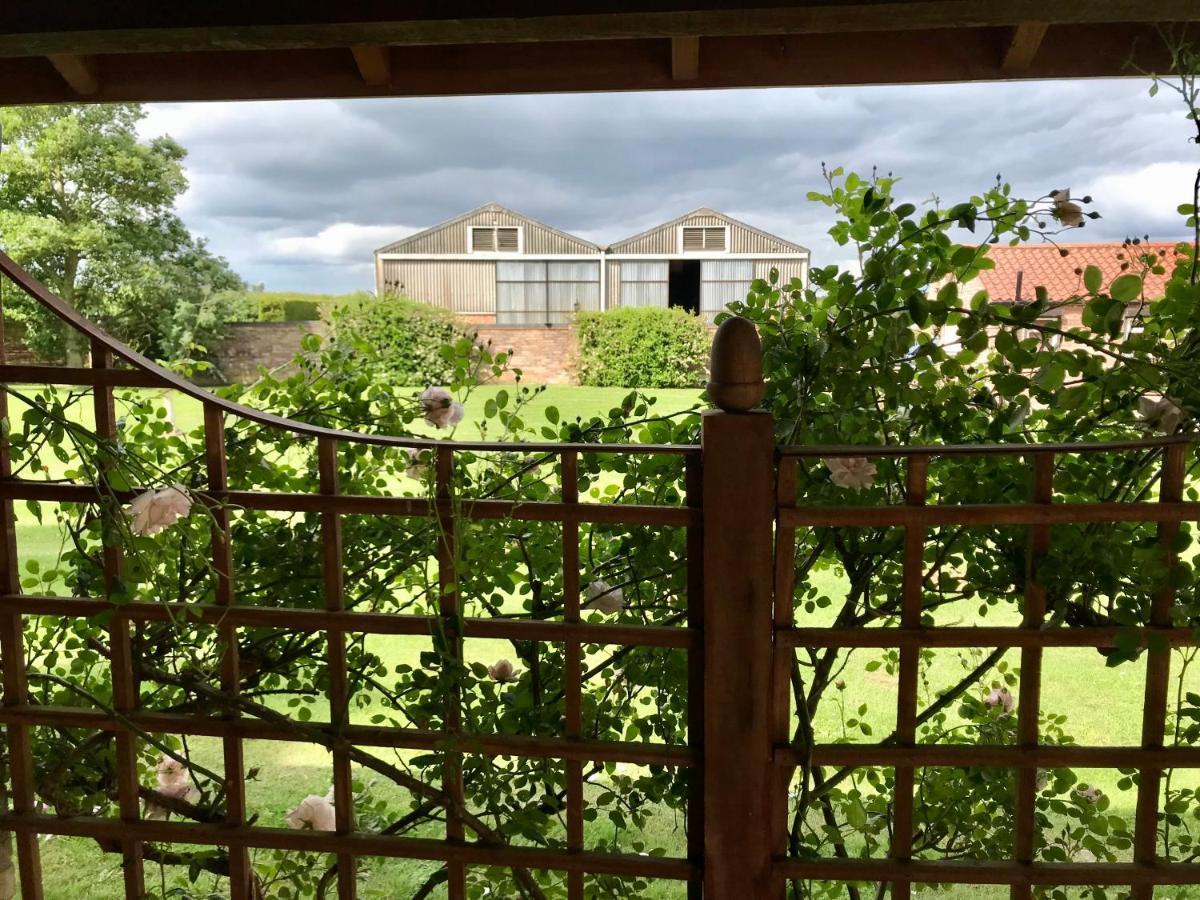 Charming Hen Cottage Countryside Retreat Lincoln Newball Zewnętrze zdjęcie