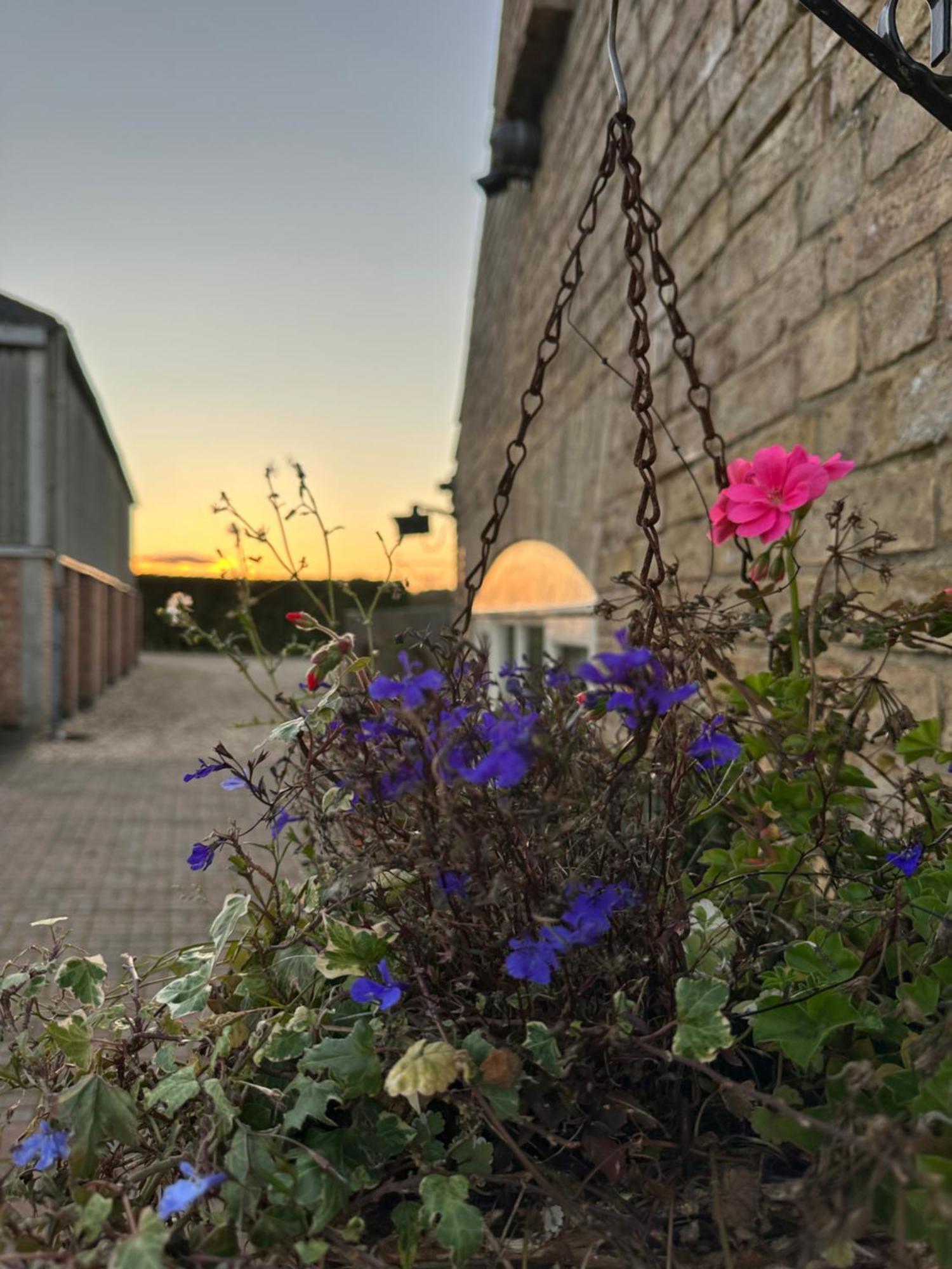 Charming Hen Cottage Countryside Retreat Lincoln Newball Zewnętrze zdjęcie